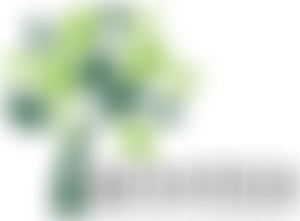 Holt Pound Recreation Ground | Charici