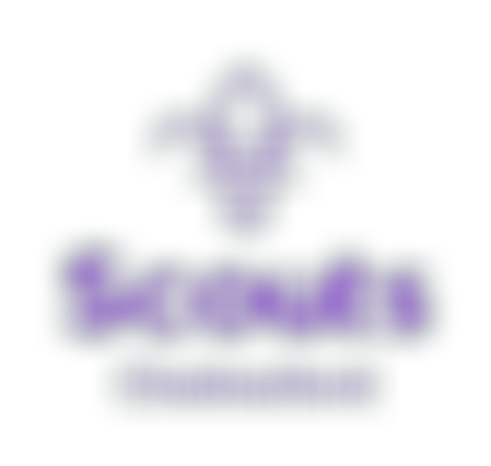Chelmsford District Scout Council | Charici