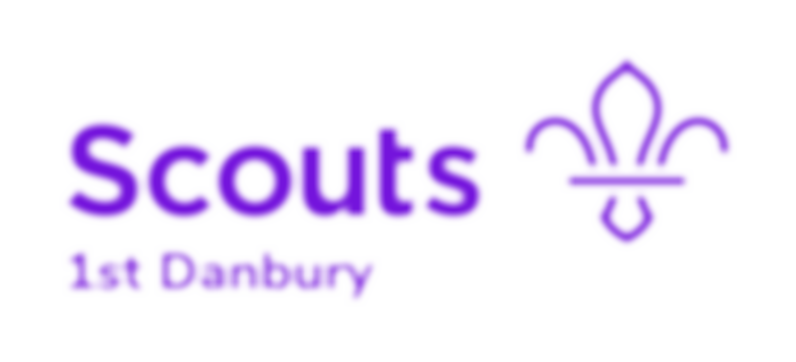 1St Danbury Scout Group | Charici