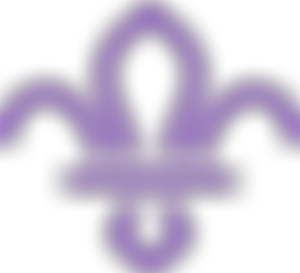 Gloucester District Scout Council | Charici