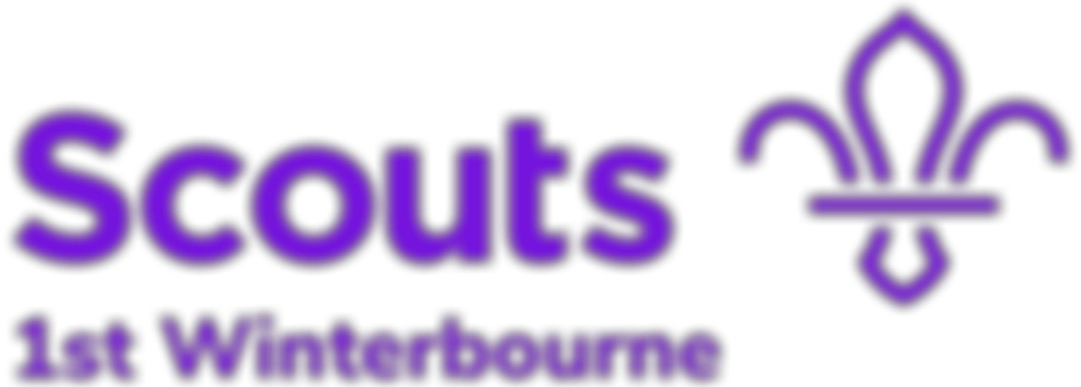 1St Winterbourne Down And Buryside Scout Group | Charici