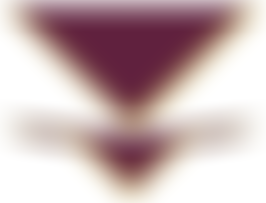 Ninth Bournemouth Group Of Boy Scouts | Charici