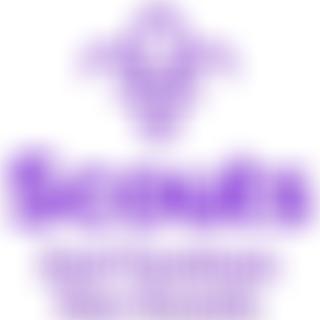 2Nd Fareham Sea Scout Group | Charici