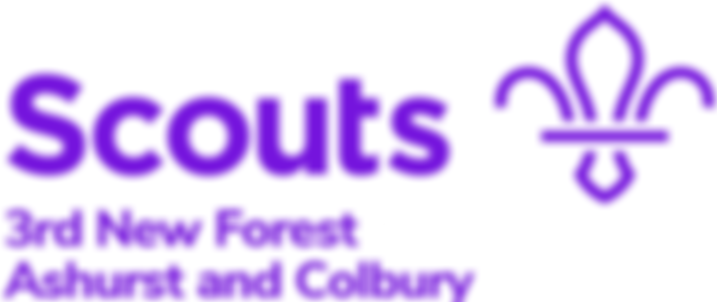 Third New Forest North (Ashurst And Colbury) Scout Group | Charici