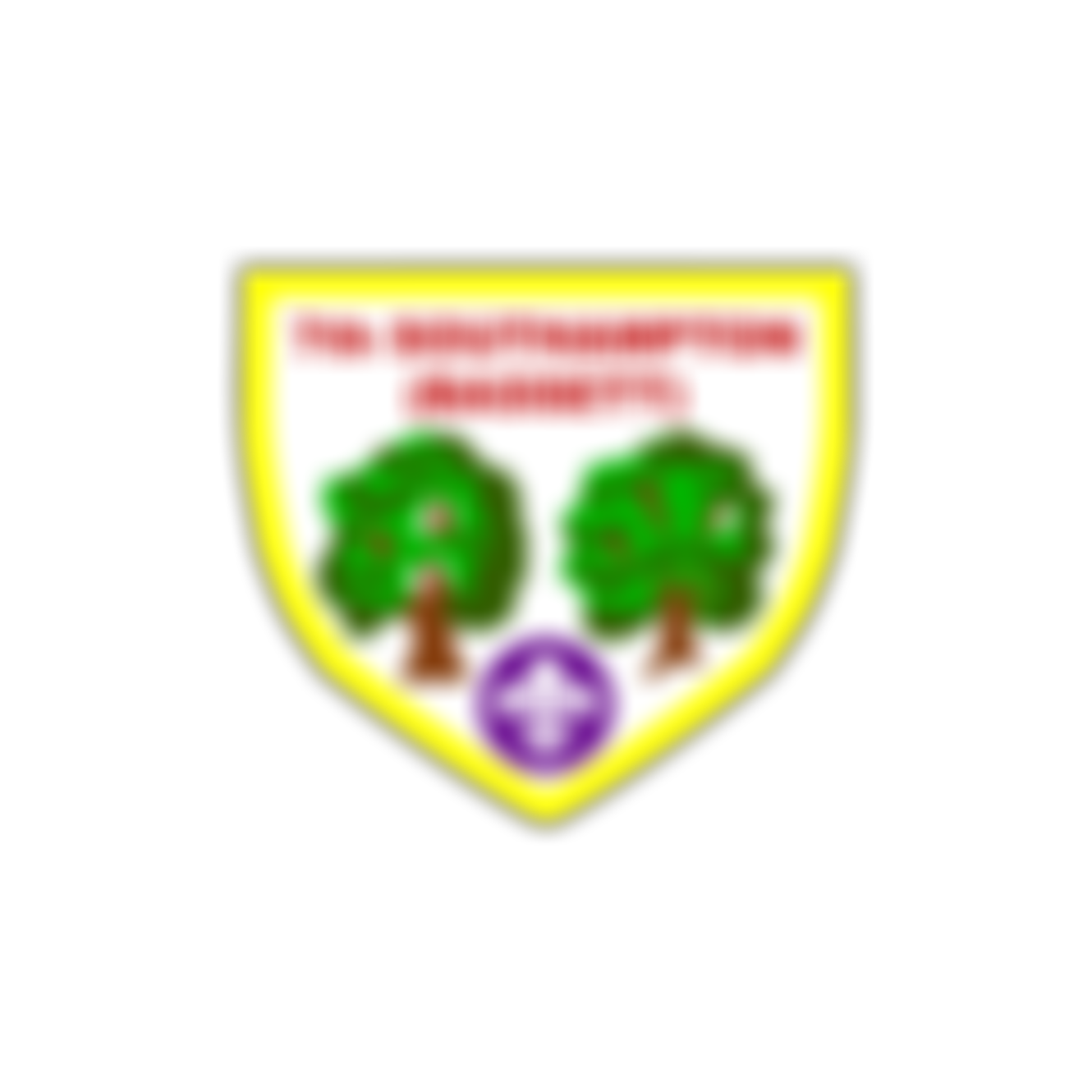 7Th Southampton (Bassett) Scout Group | Charici