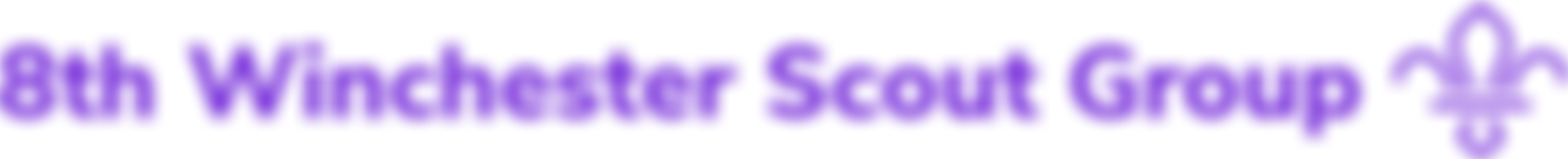 8Th Winchester Scout Group | Charici