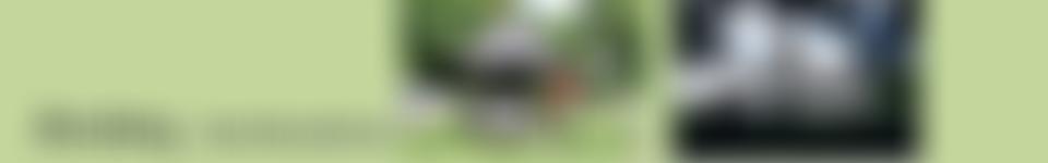 Village Playing Field | Charici