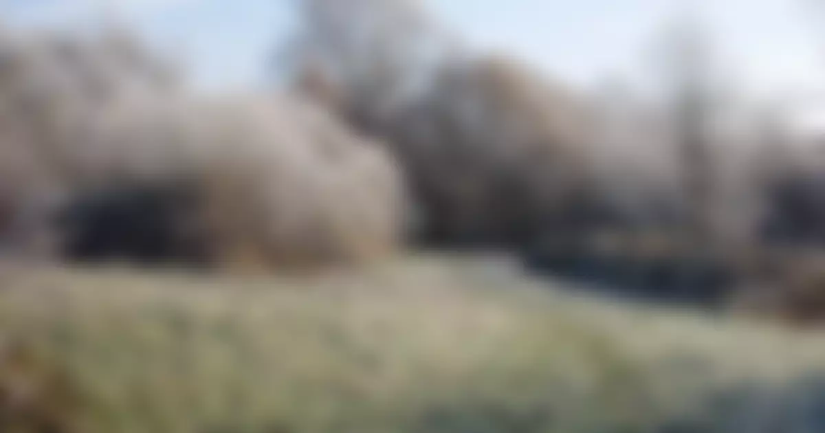 Playing Field Boreham Wood | Charici