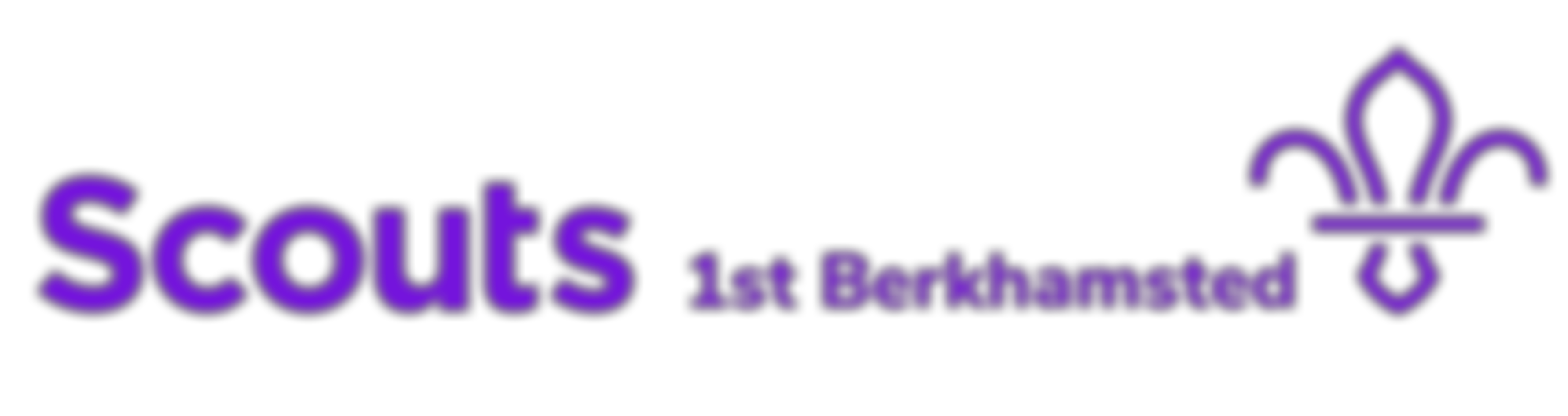 1St Berkhamsted Scout Group | Charici