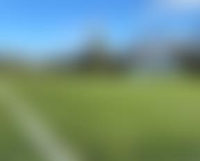 The Walker Cricket Ground | Charici