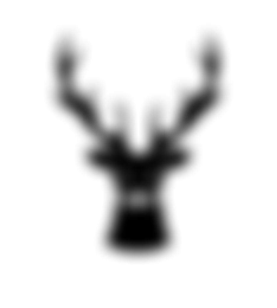 10Th Finchley (Scottish) Scout Group | Charici