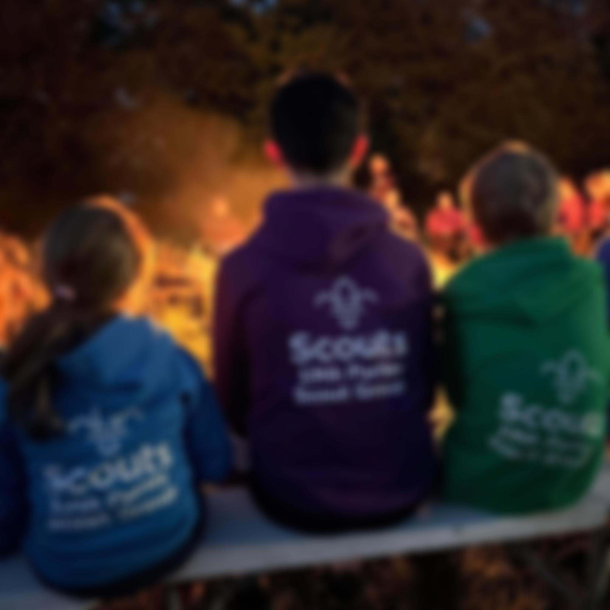 19Th Purley (Riddlesdown) Scout Group | Charici