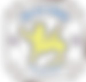 1St Surbiton Group | Charici