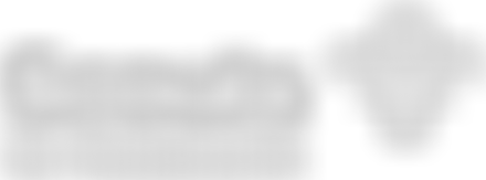 1St Wandsworth Scout Group | Charici