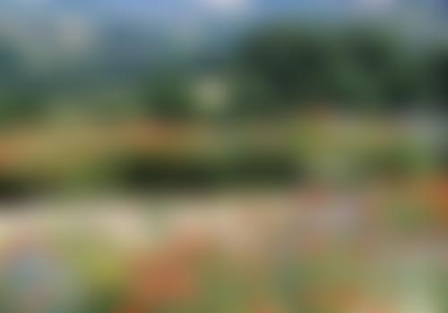 Chadlington Memorial Hall | Charici