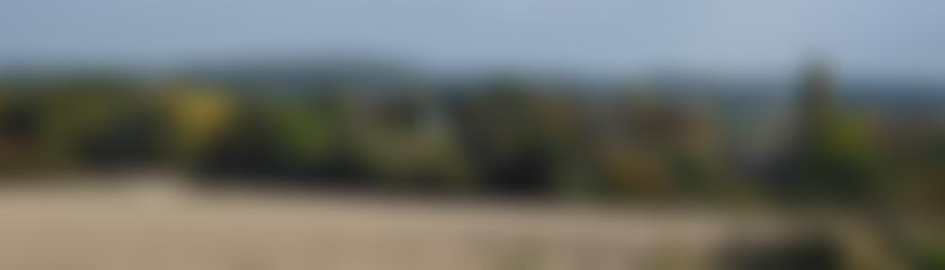 Recreation Ground Charity | Charici