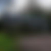 Combe Florey Village Hall | Charici