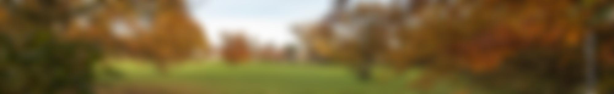 Memorial Hall Walsham-Le-Willows | Charici