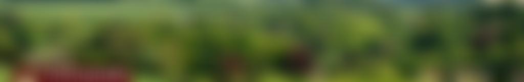 Chilmark Reading Room | Charici