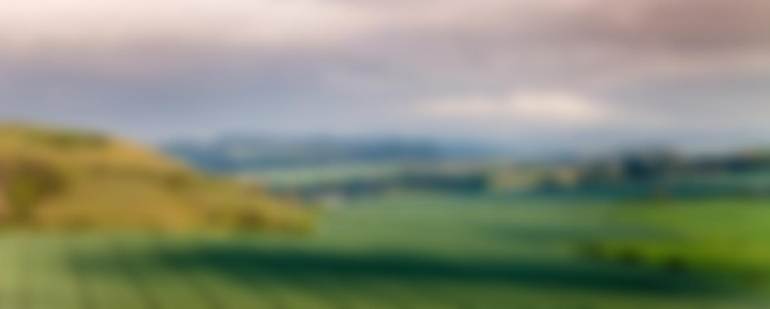 Fovant Youth Club | Charici