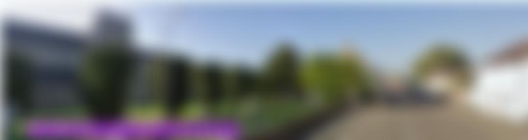 Raymond Trust Fund | Charici