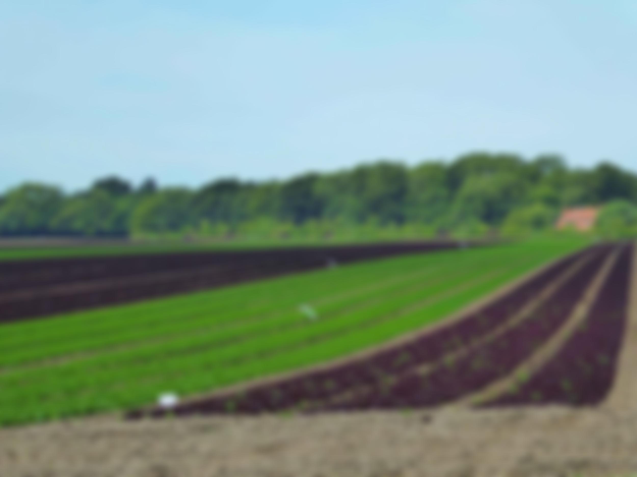 Village Hall And Playing Field Or Recreation Ground | Charici