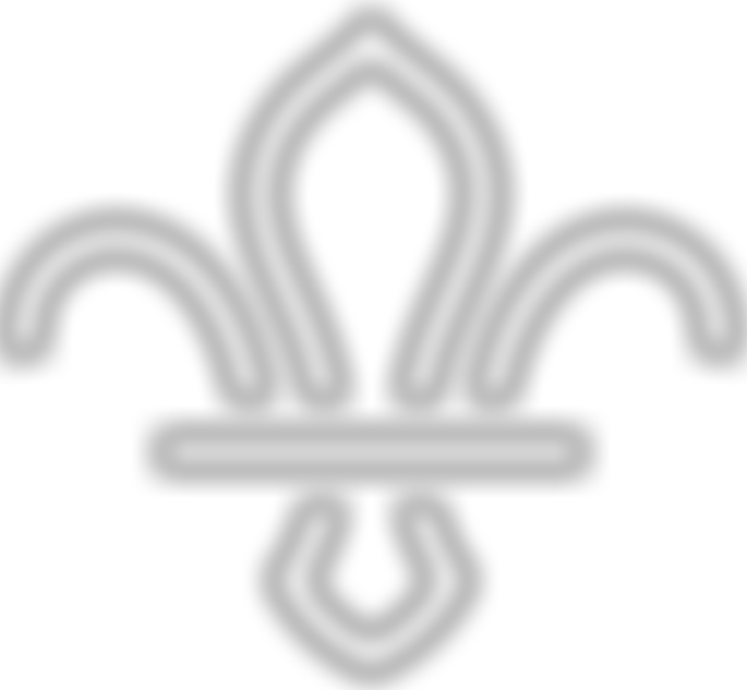 1St Nailsea Scouts | Charici