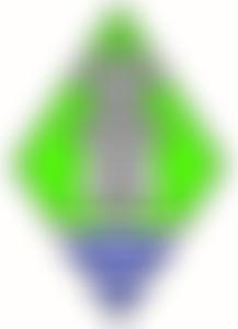 The Guide Association Greater London West | Charici