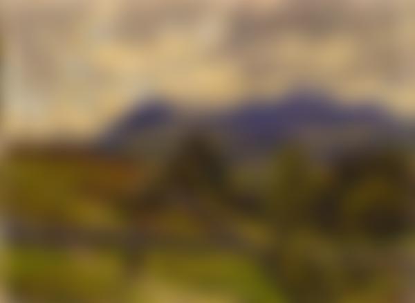 Kent Kingdon's Bequest For Royal Albert Museum And Free Library | Charici