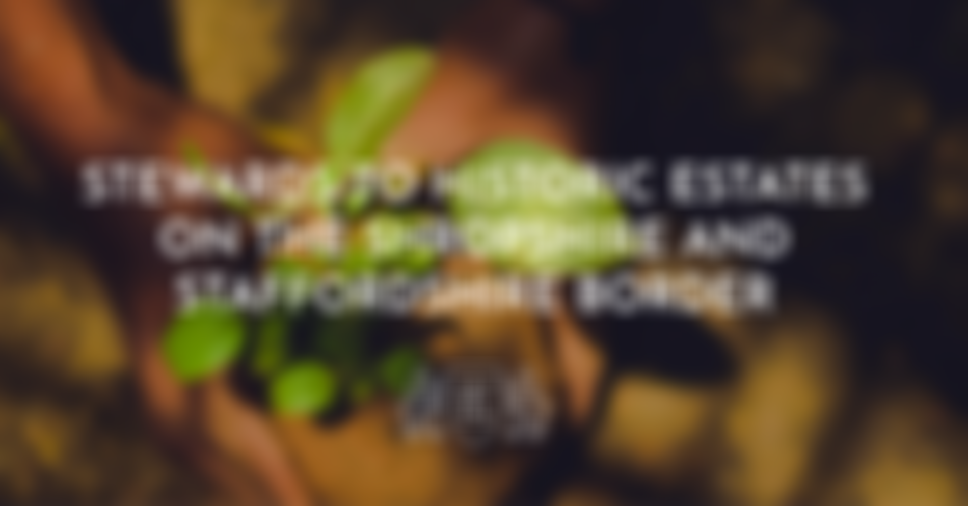 Jonas Ellingham Charity | Charici