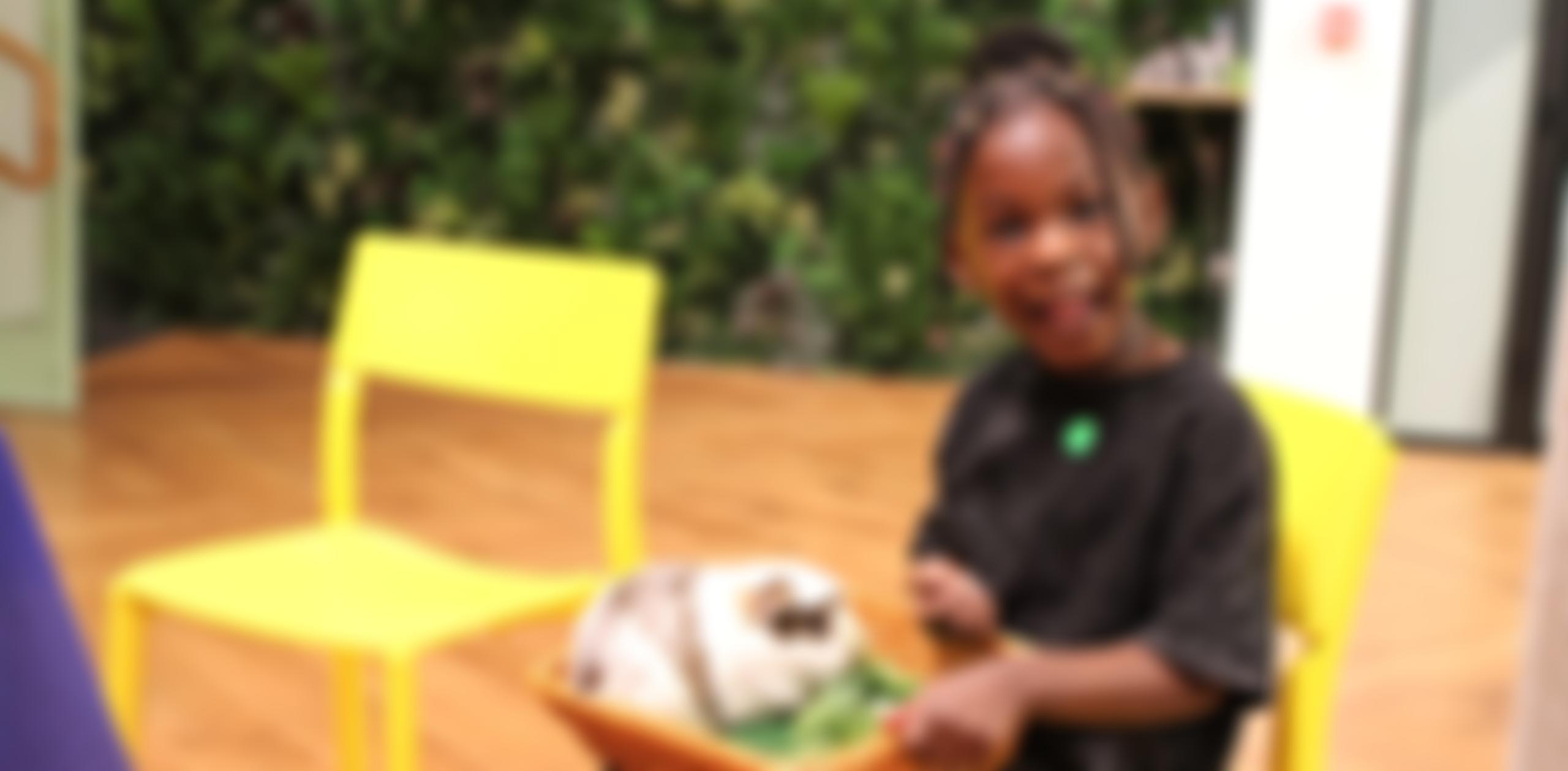 The Royal Society For Blind Children | Charici