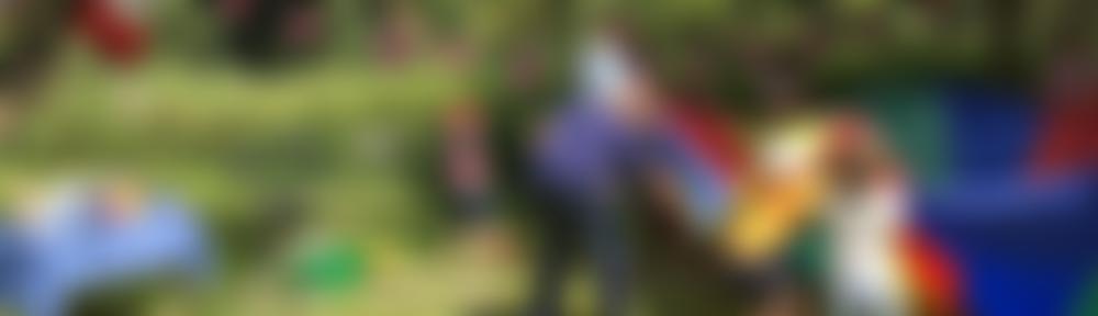 6Th Tolworth Scout Group | Charici