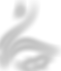 Farnham Park Sports Fields | Charici