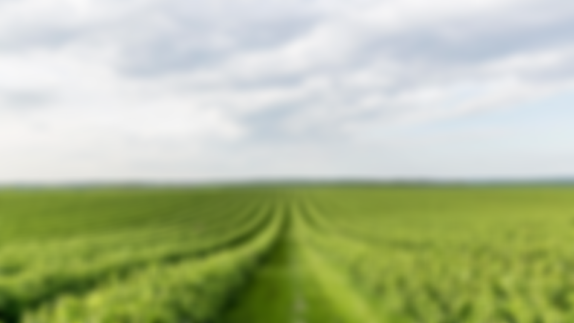 The Institute Of Grocery Distribution | Charici