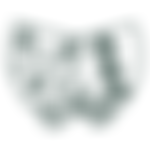 Chard School | Charici