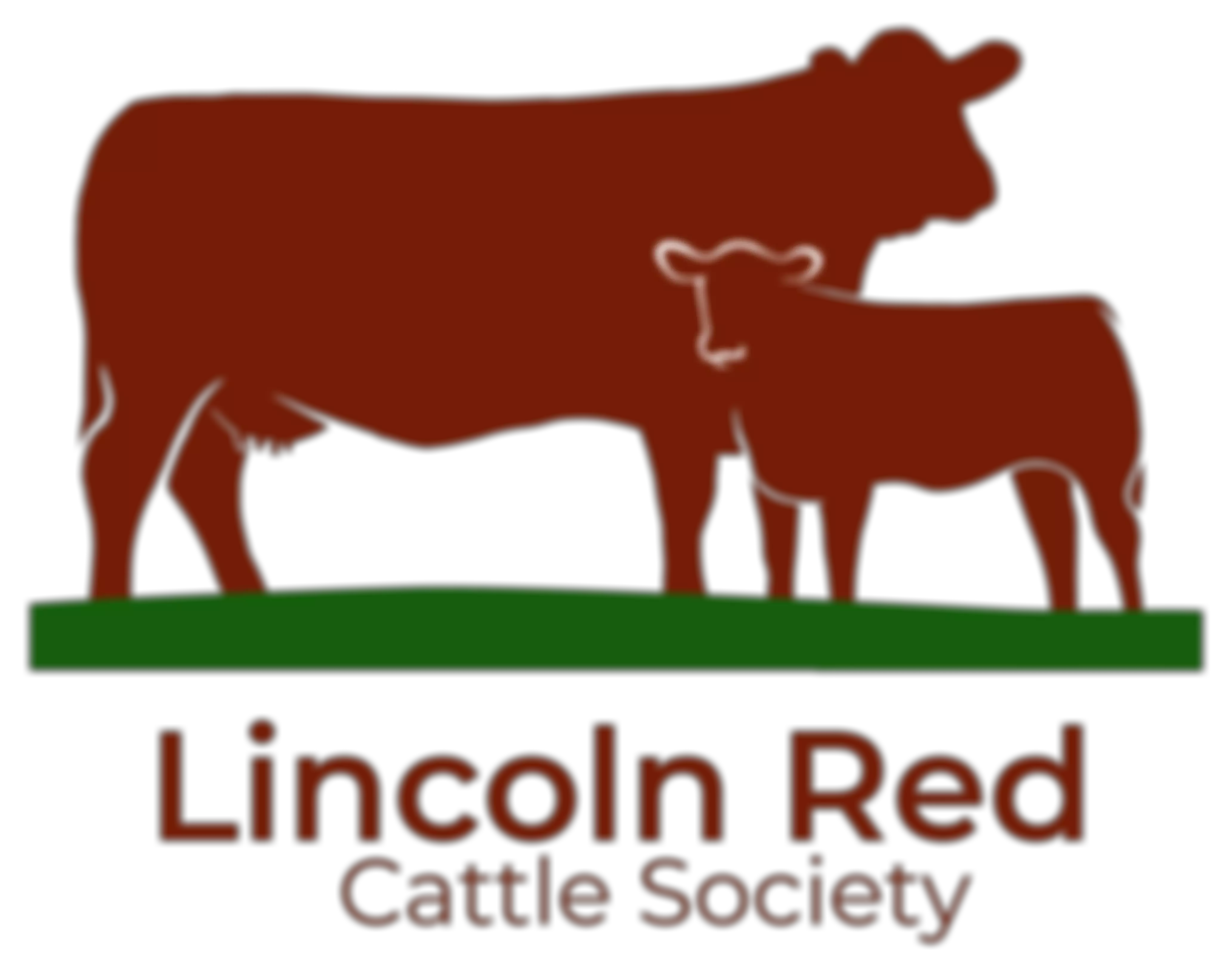 The Lincoln Red Cattle Society | Charici