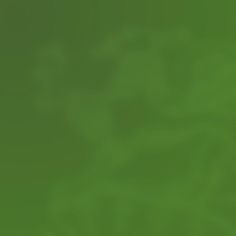 Heath Mount School Trust Ltd | Charici