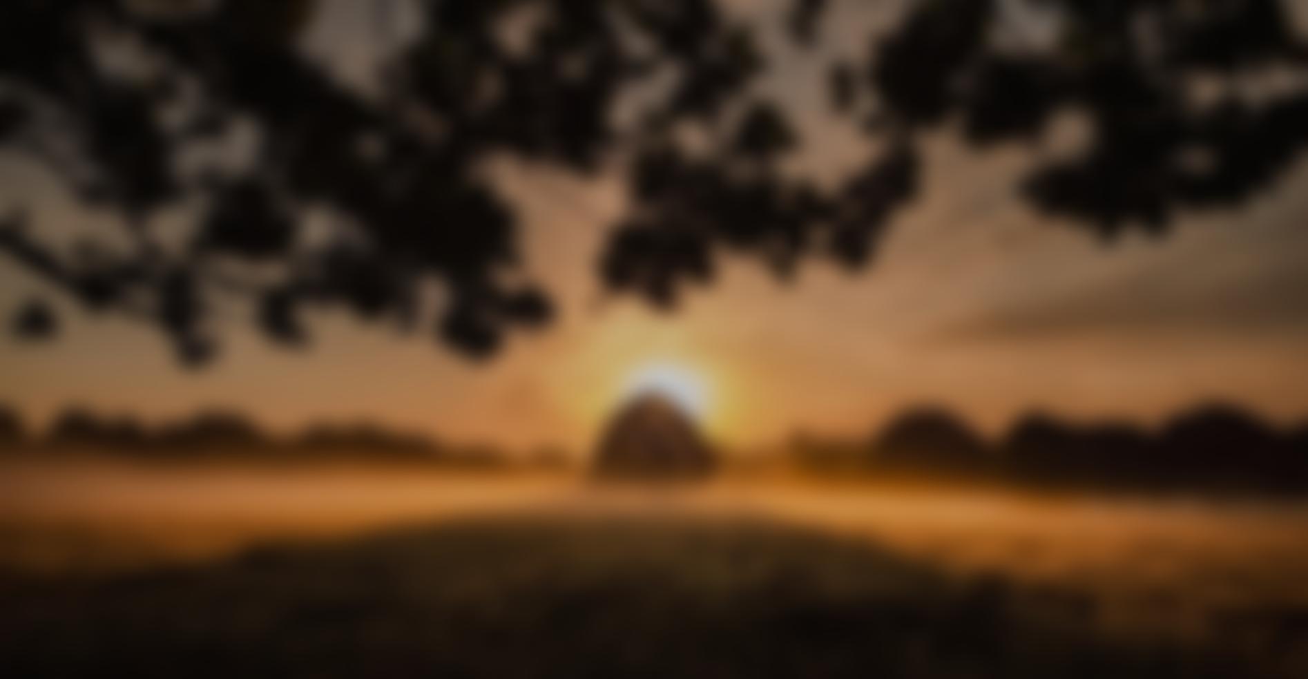 Hawkwood College Limited | Charici