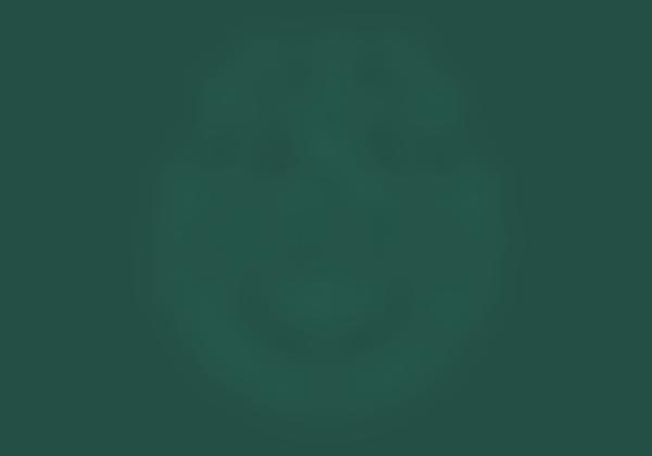 The Gordon Foundation | Charici