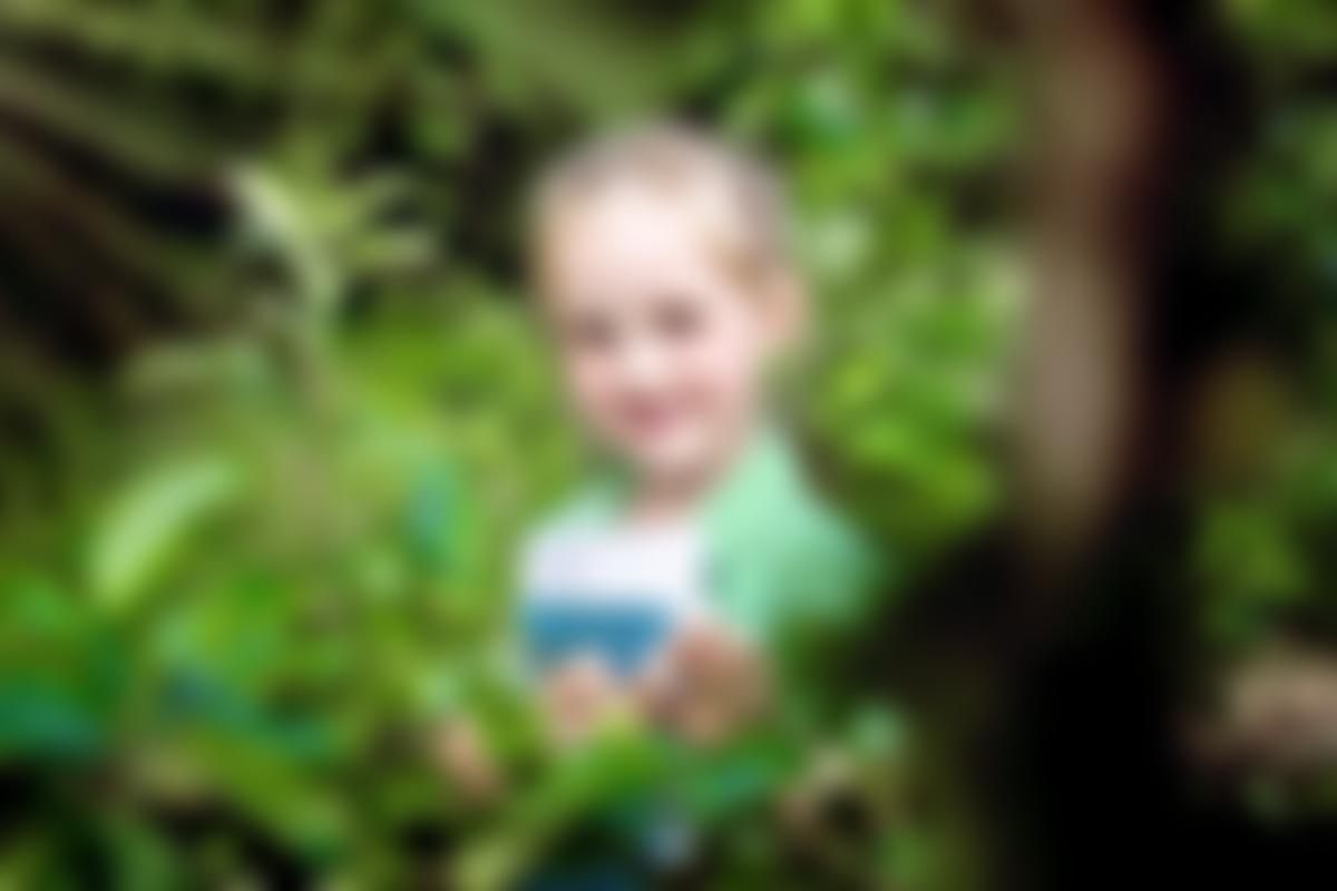 St Olave's School Trust | Charici