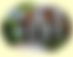 Home Of Comfort For Invalids | Charici