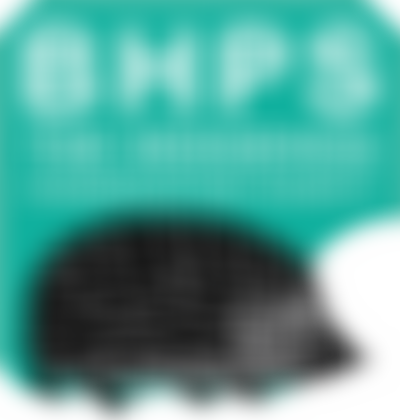 British Hedgehog Preservation Society | Charici