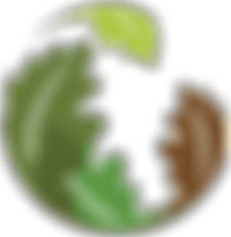 The Jones 1986 Charitable Trust | Charici