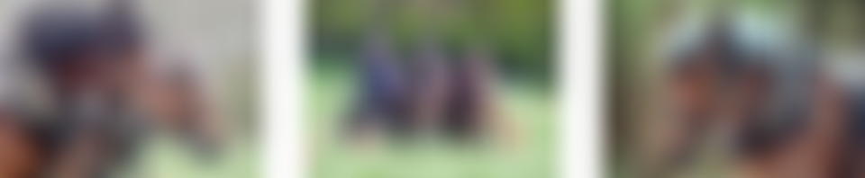 The Working Horse Trust | Charici