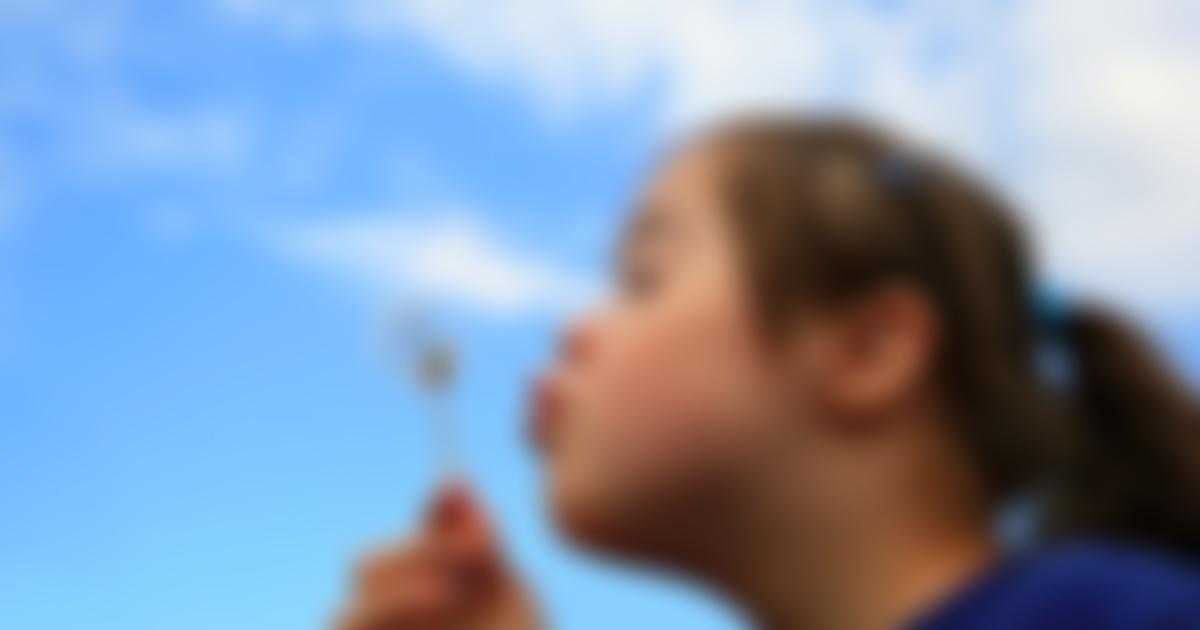 Independent Provider Of Special Education Advice | Charici